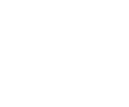 ZYS Transport